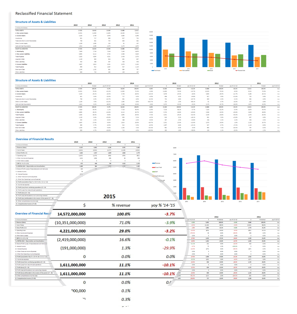 screenshot of Financial Statement Analysis